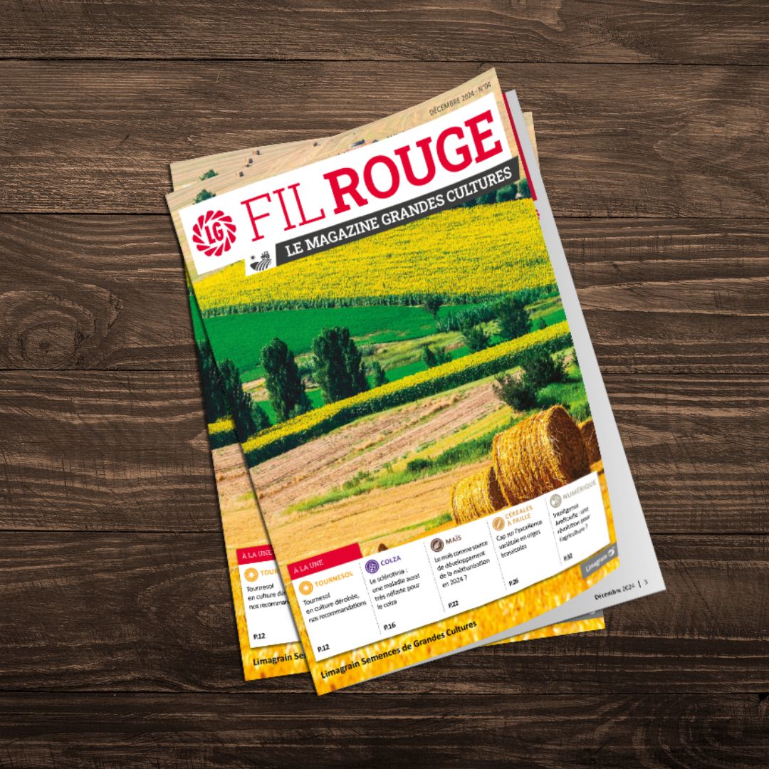 Fil Rouge